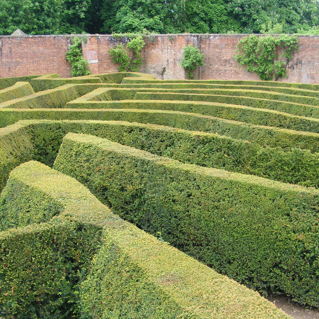 Photo of a hedge maze
