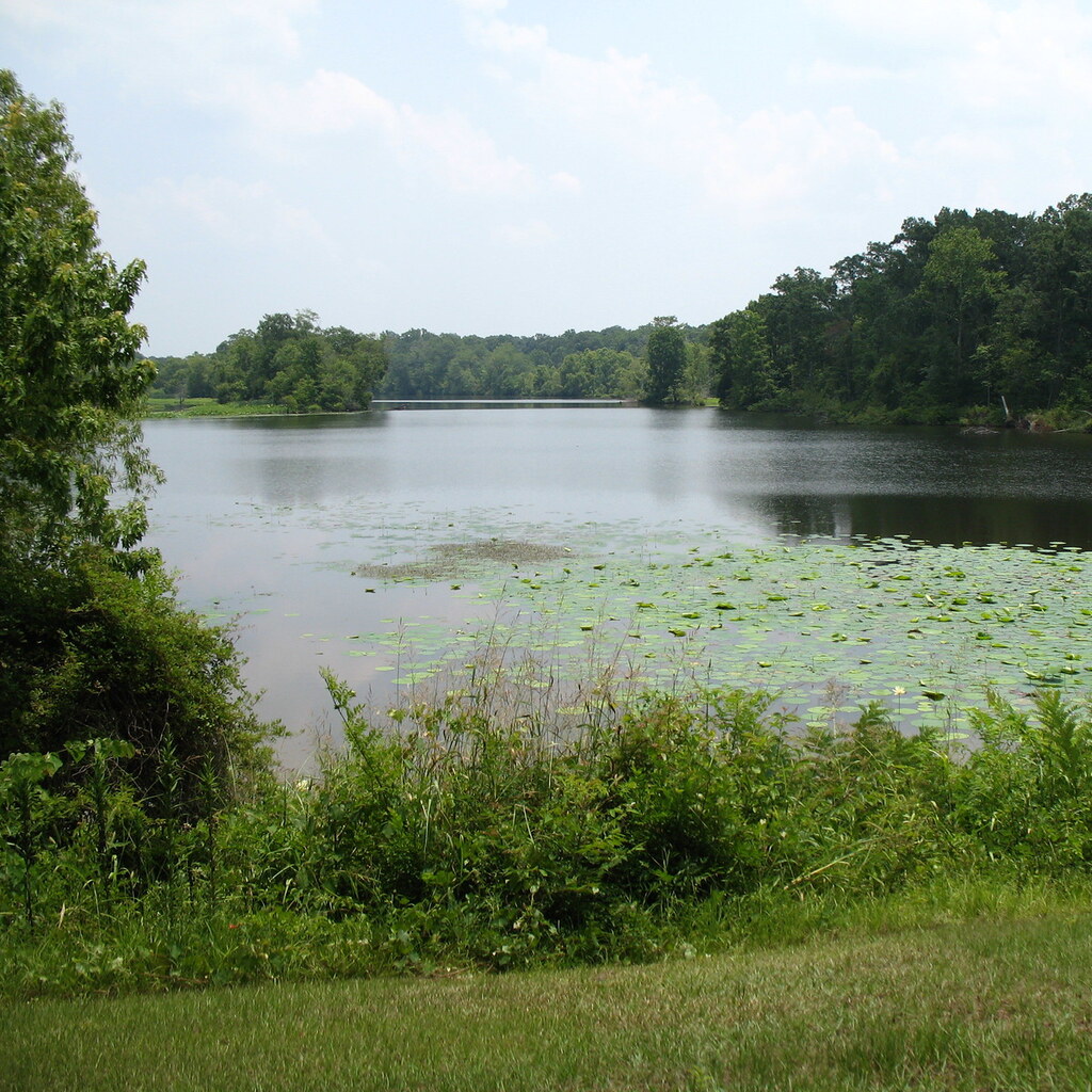 Photo of the Mississippi river