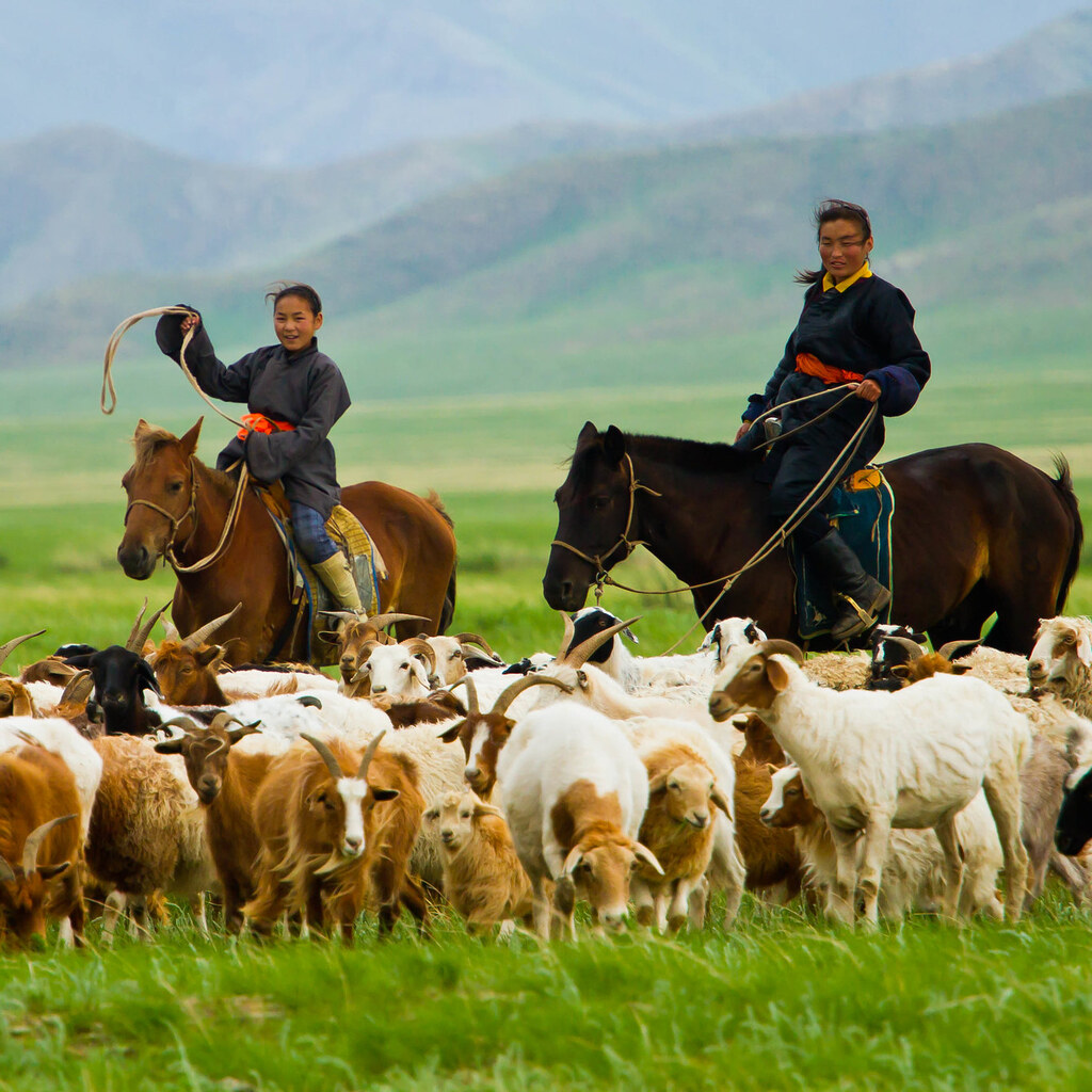 Photo of Mongolian girls herding sheep