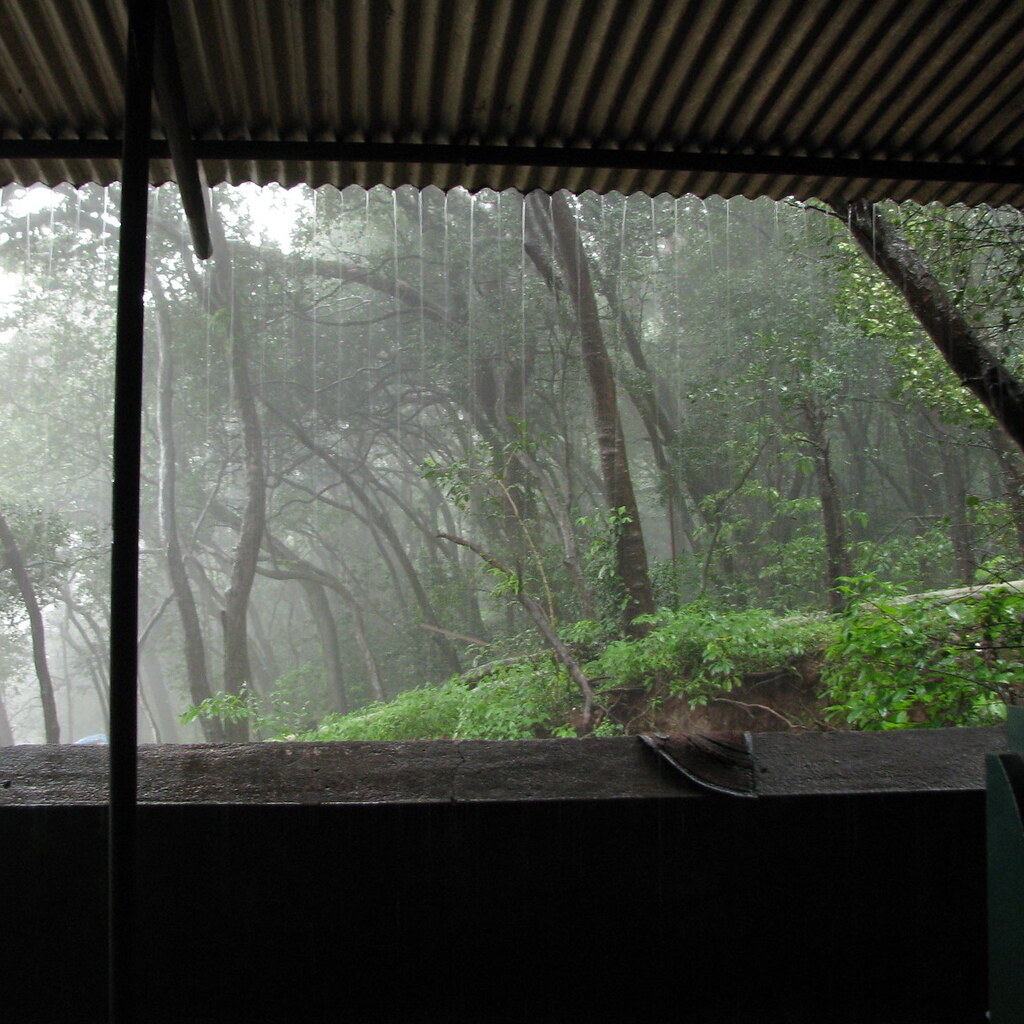 Photo of monsoon rains