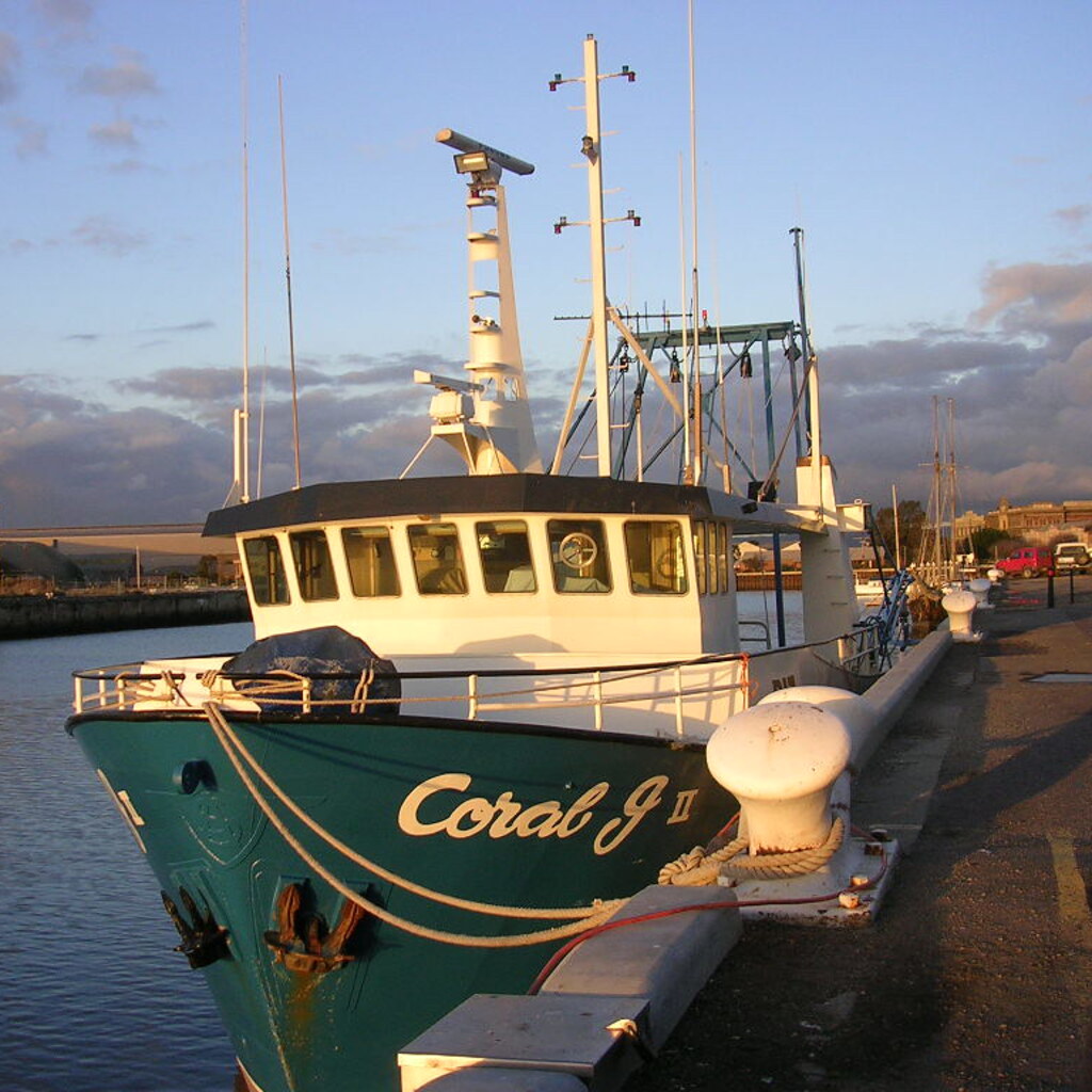 Photo of a moored boat