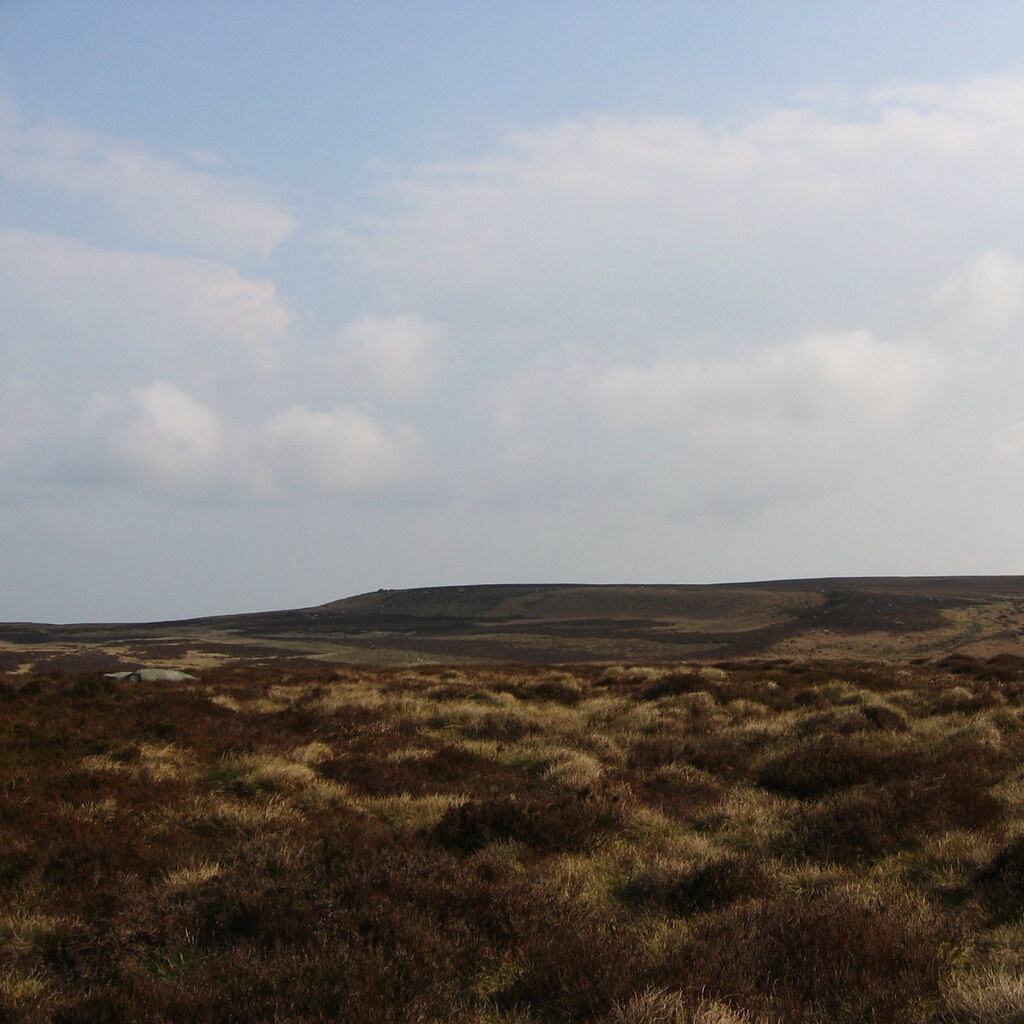 Photo of a moor
