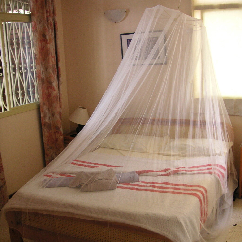 Photo of a mosquito net