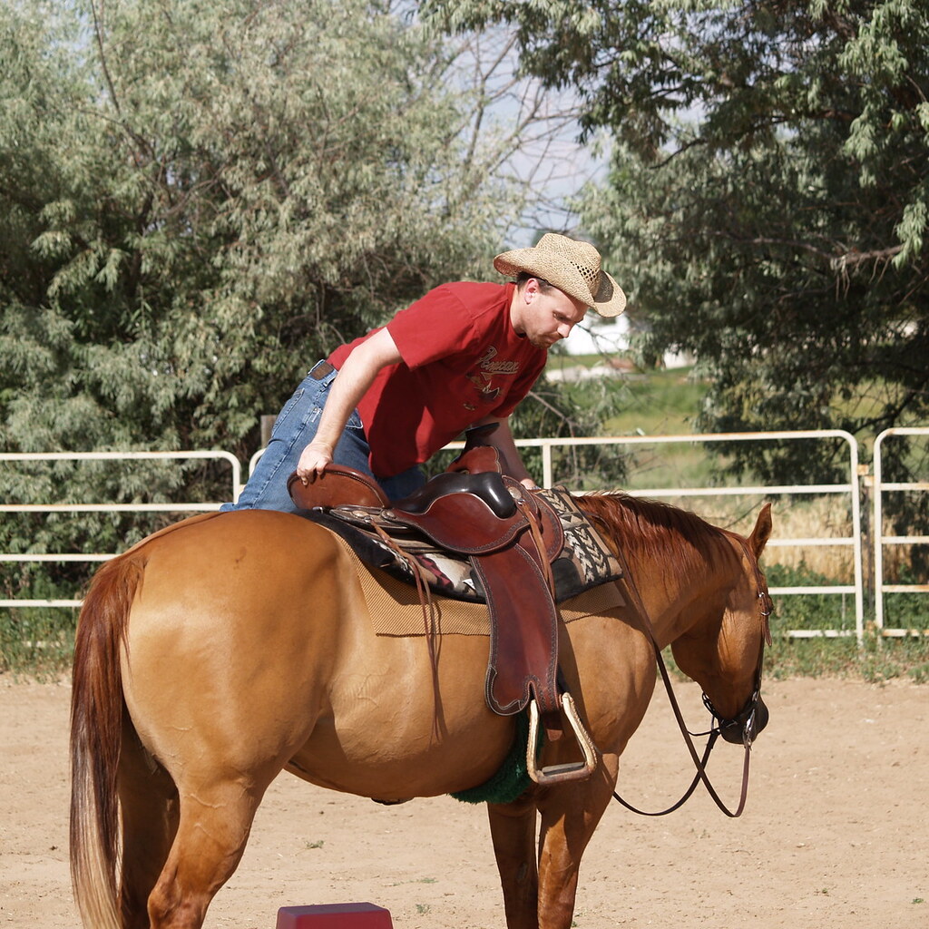 Photo of a man mounting a horse