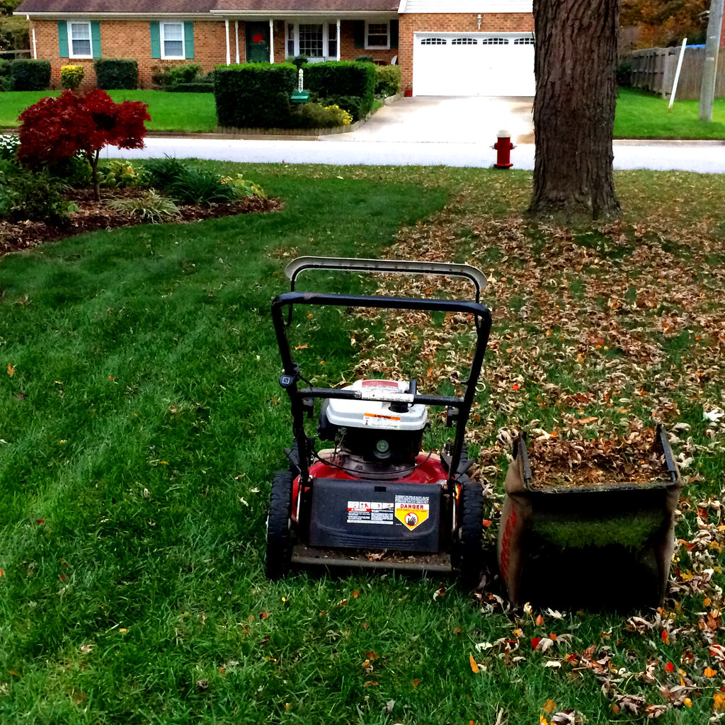 Photo of someone mowing fallen leaves