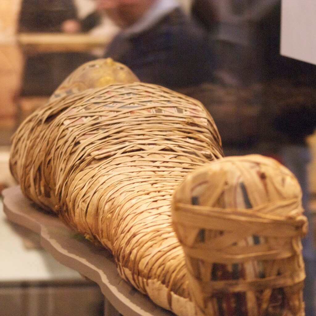 Photo of a mummy