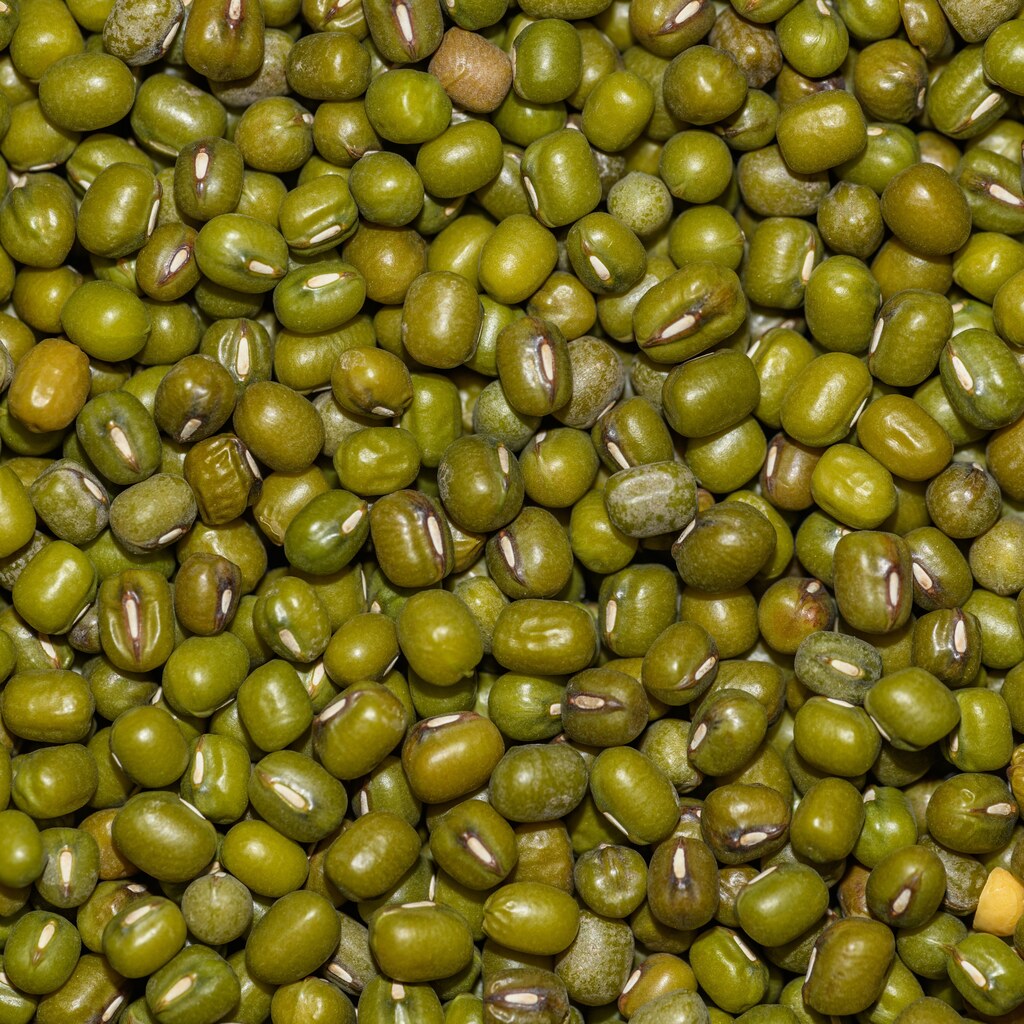 A photo of mung beans