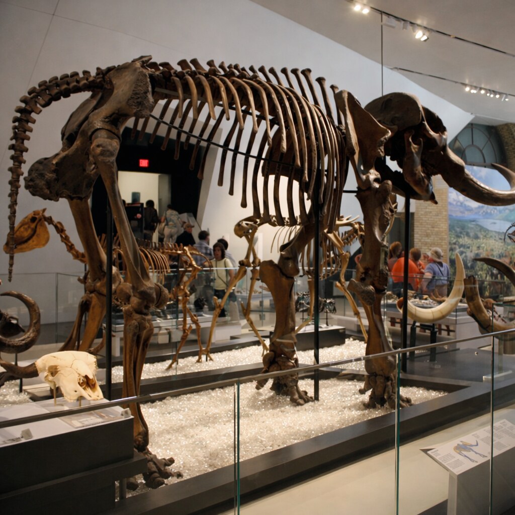 Photo of the inside of a museum