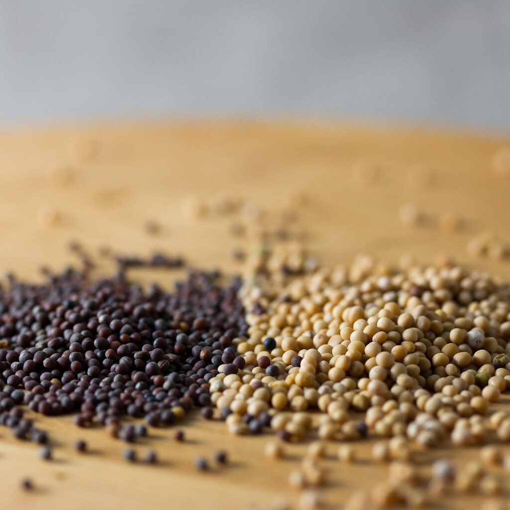 Photo of mustard seeds