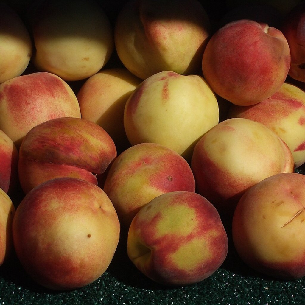 Photo of nectarines