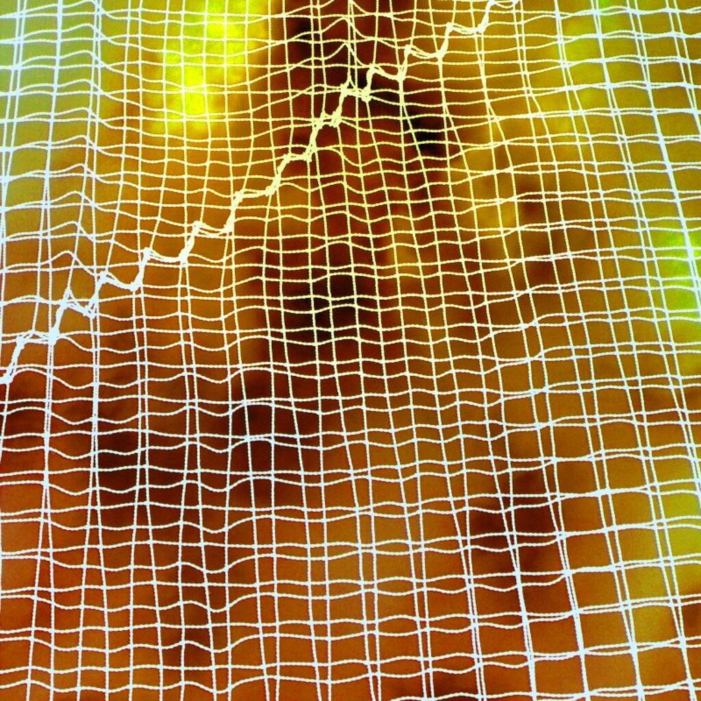 Photo of a net