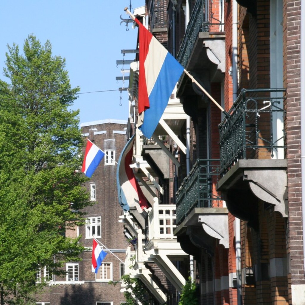 Photo of Netherlands flags
