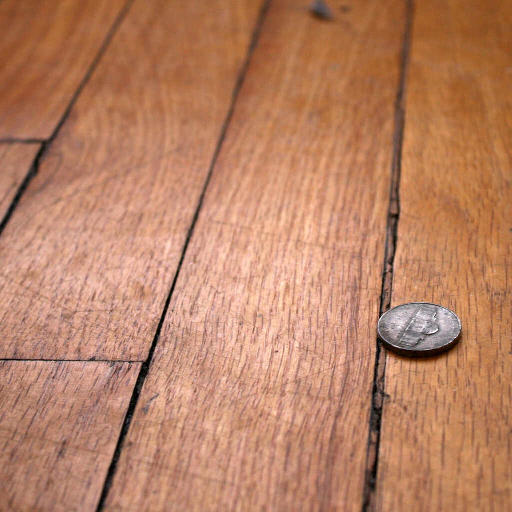 Photo of a nickel