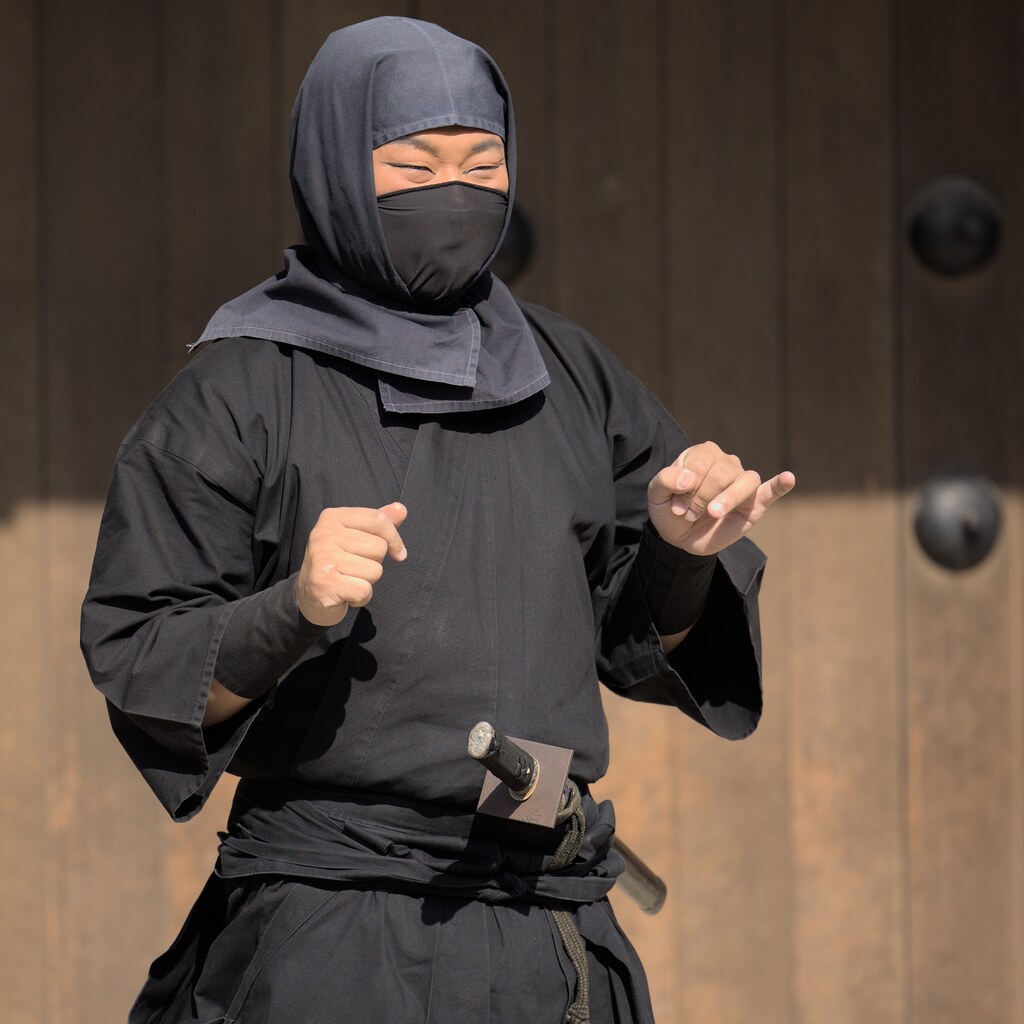 Photo of someone dressed as a ninja