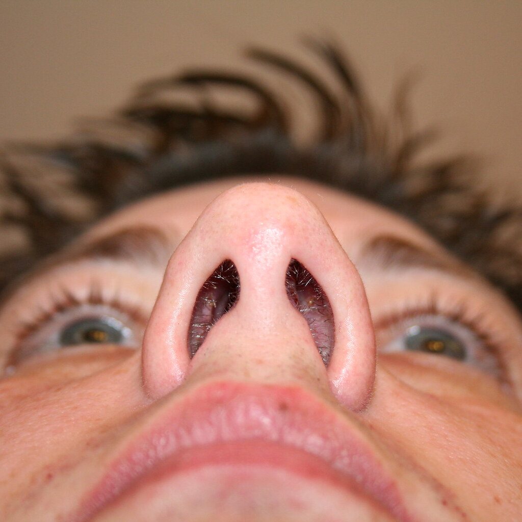 Photo of nostrils