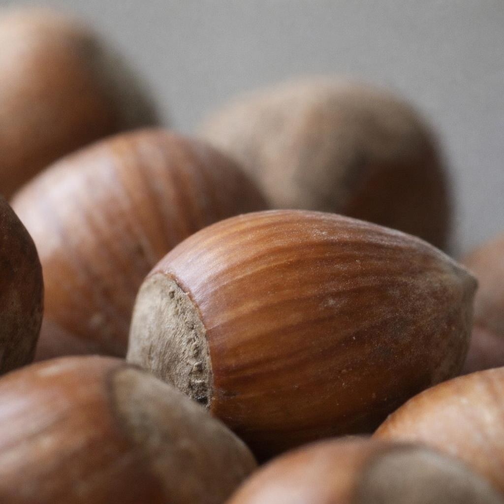 Photo of nuts