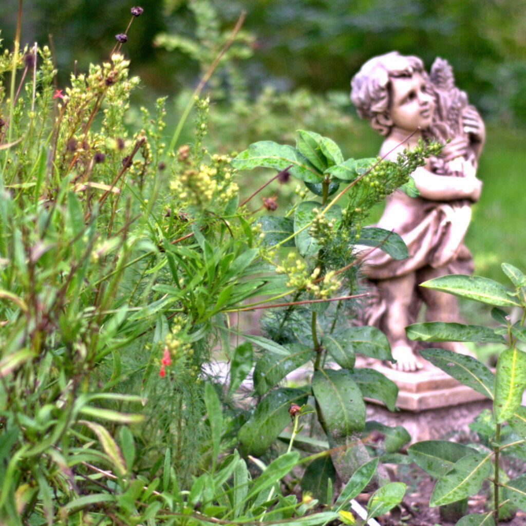 Photo of a garden ornament