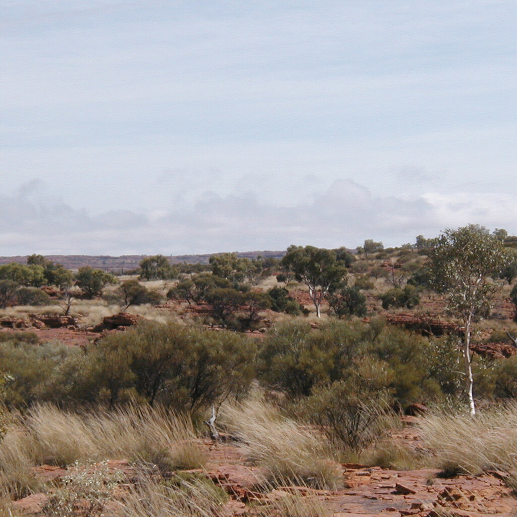 Photo of the Australian outback