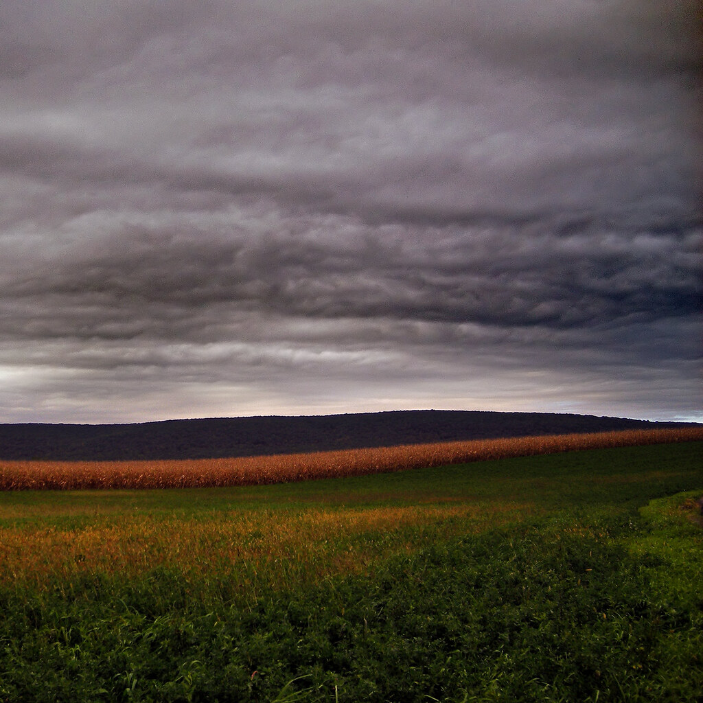 Photo of an overcast sky