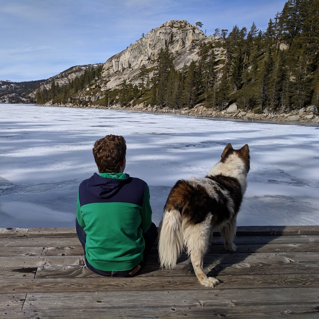 Photo of dog and owner