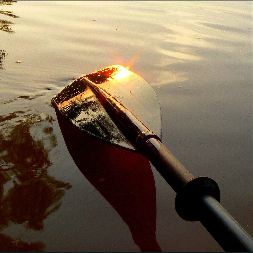 Photo of a paddle