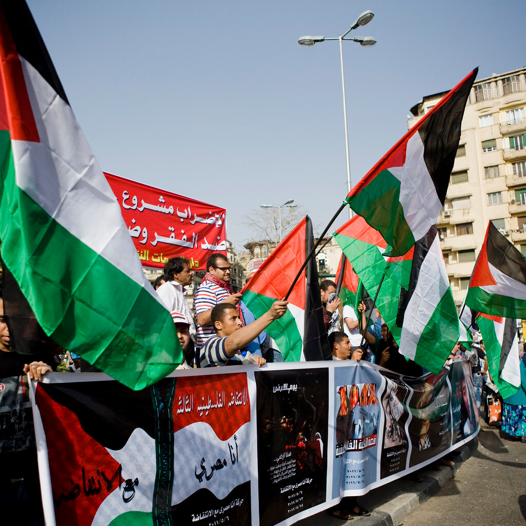 Photo of Palestine flags