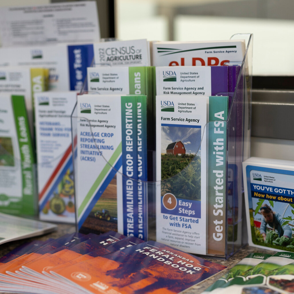 Photo of pamphlets