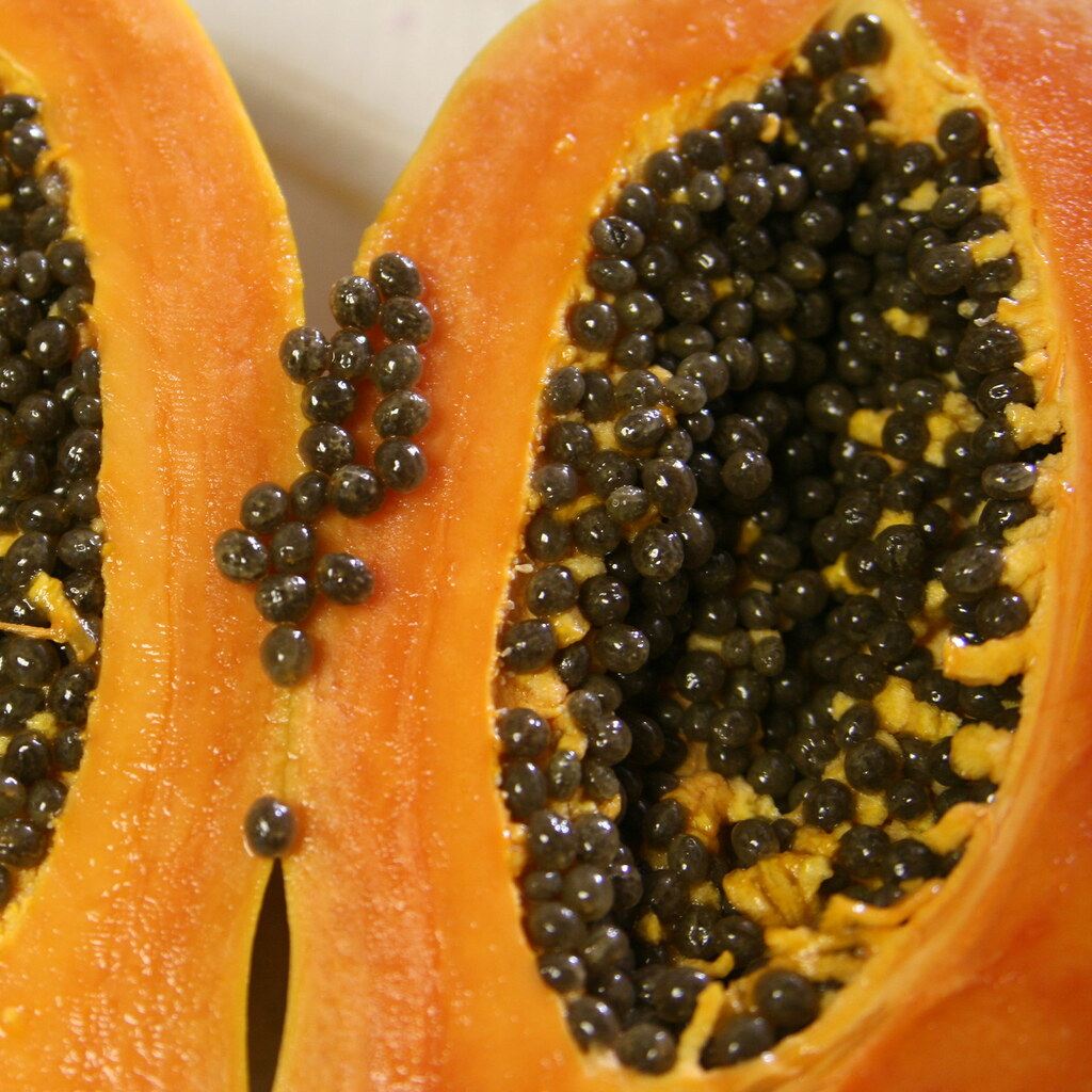 Photo of pawpaw or papaya