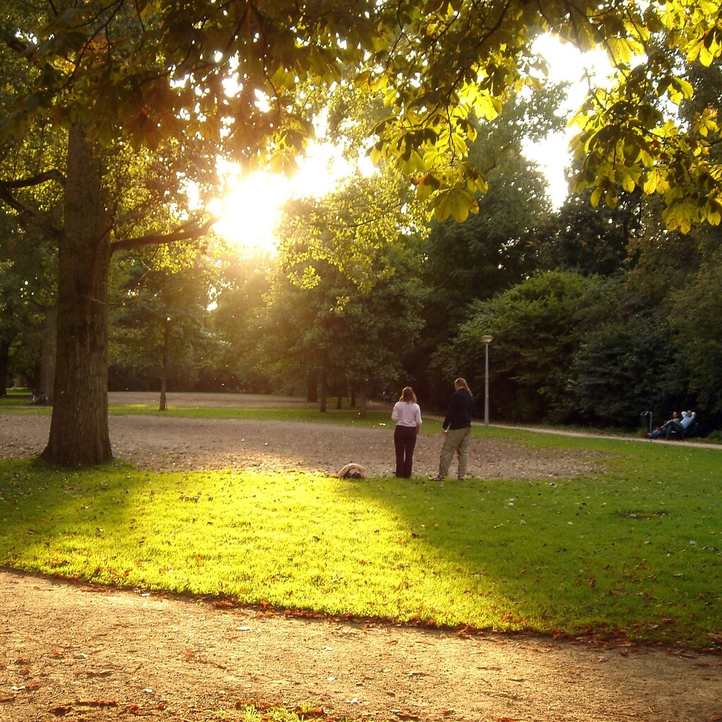 Photo of trees in a park