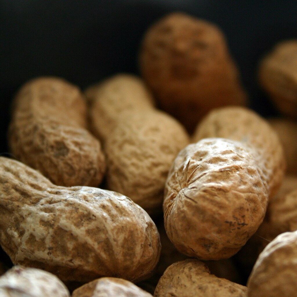 Photo of peanuts in their shells