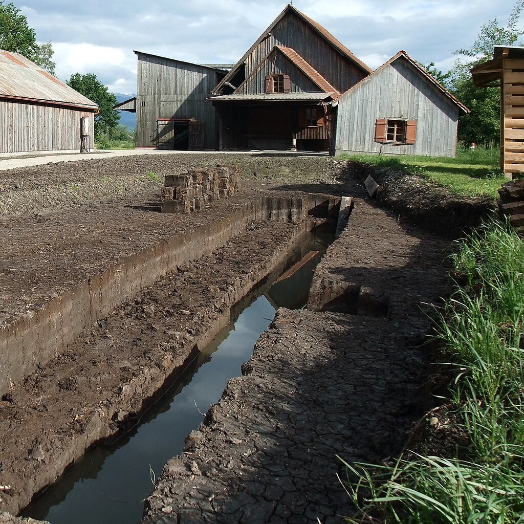Photo of peat