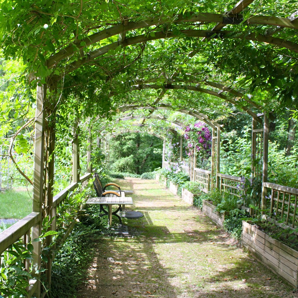 A pergola.