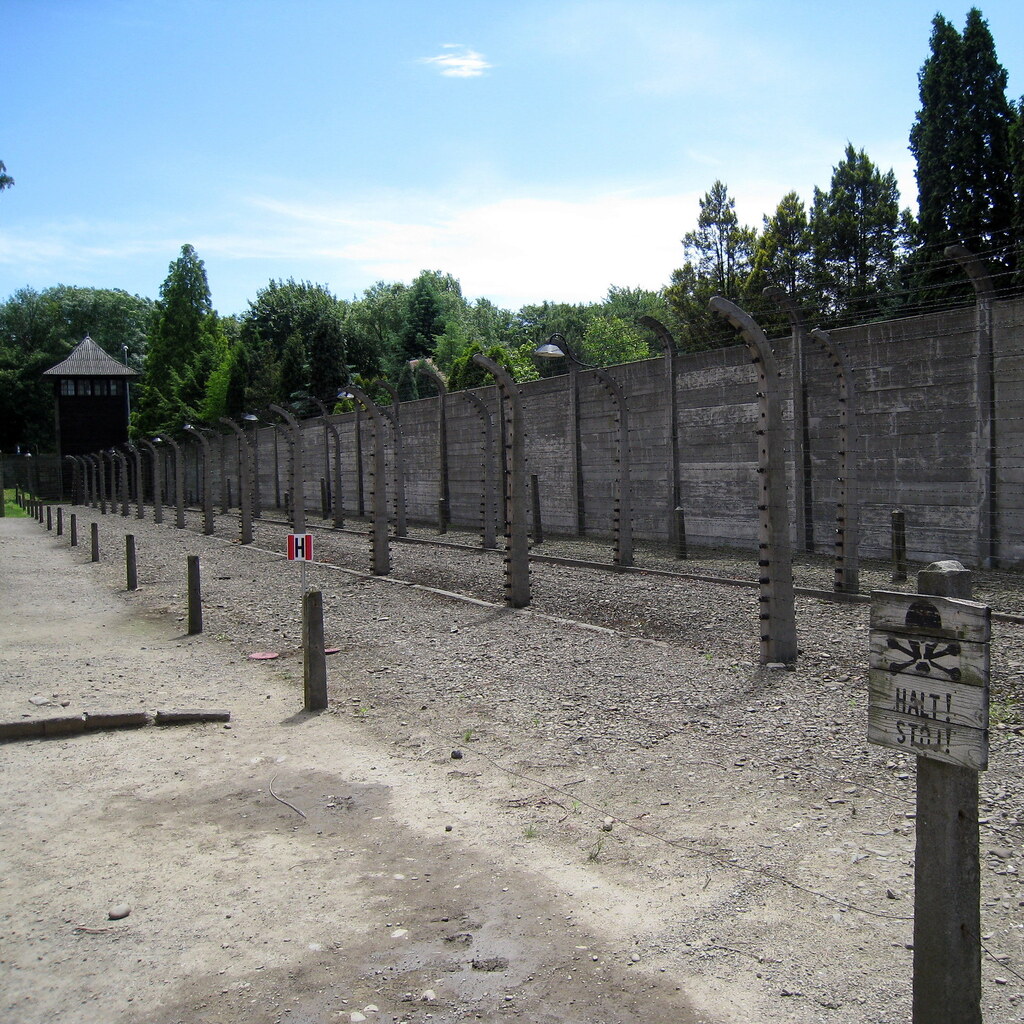 Photo of a perimeter fence