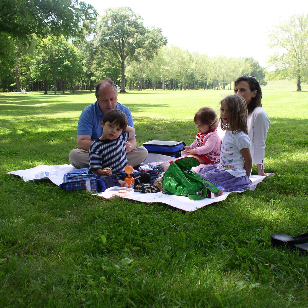Photo of a family having a picnic