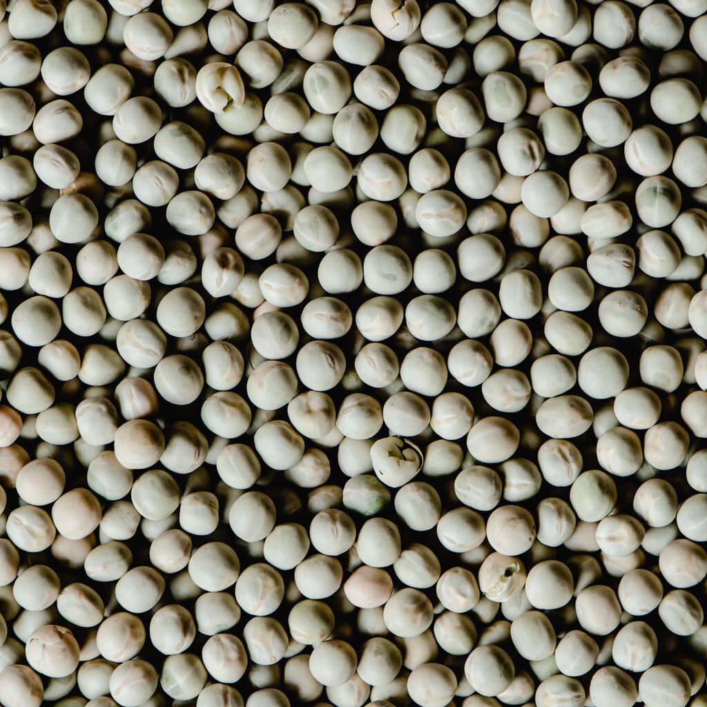 A photo of pigeon pea