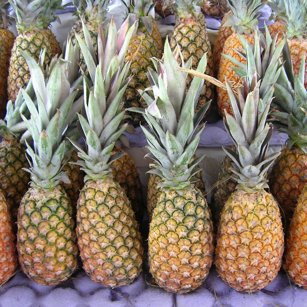 Photo of pineapples.
