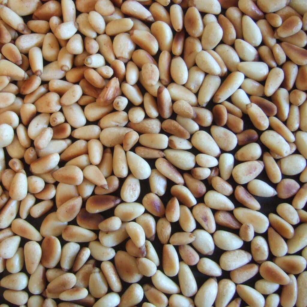 Photo of pine nuts