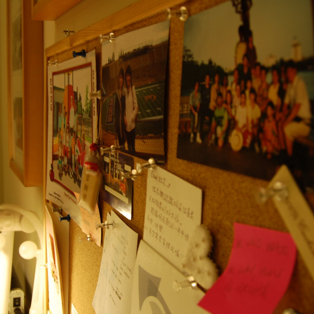 Photo of a pinboard