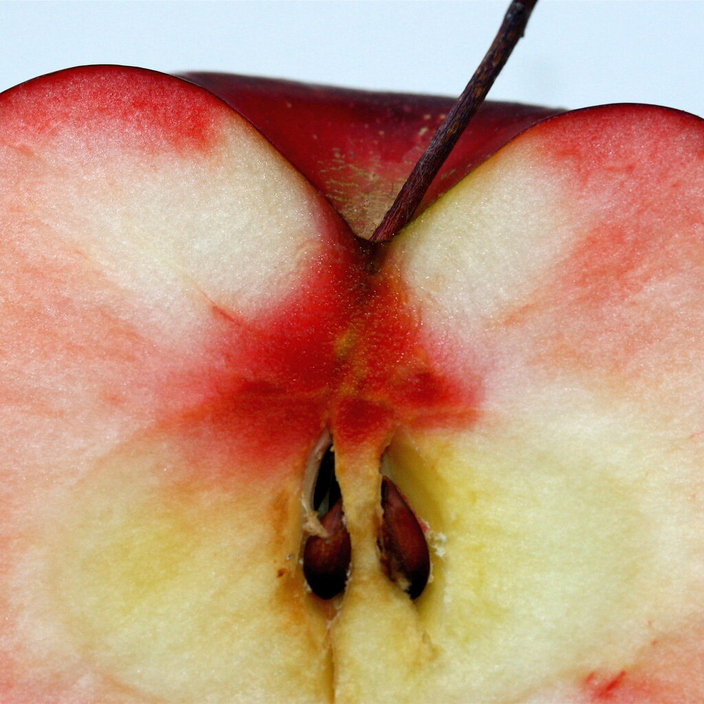 Photo of apple seeds