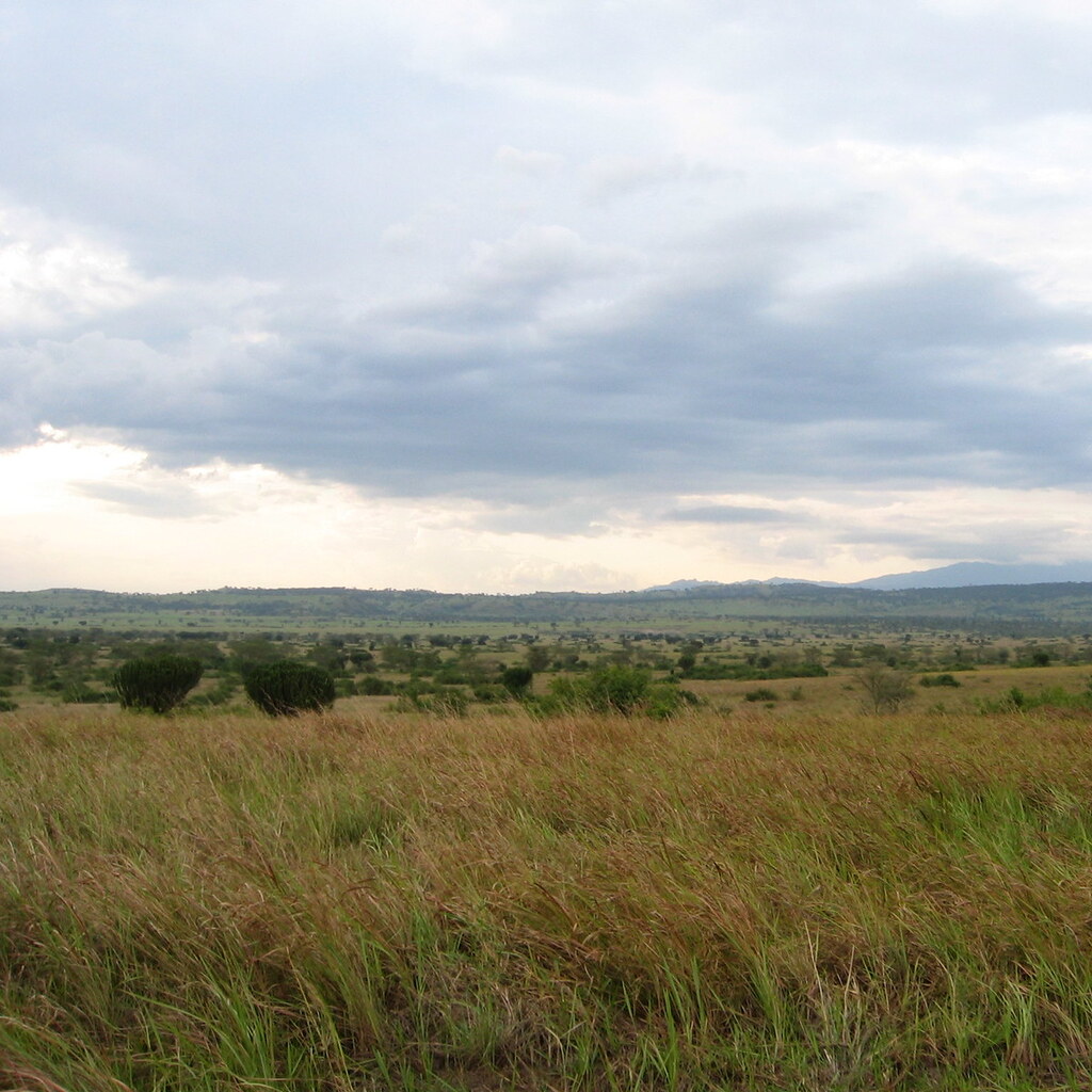 Photo of a plain