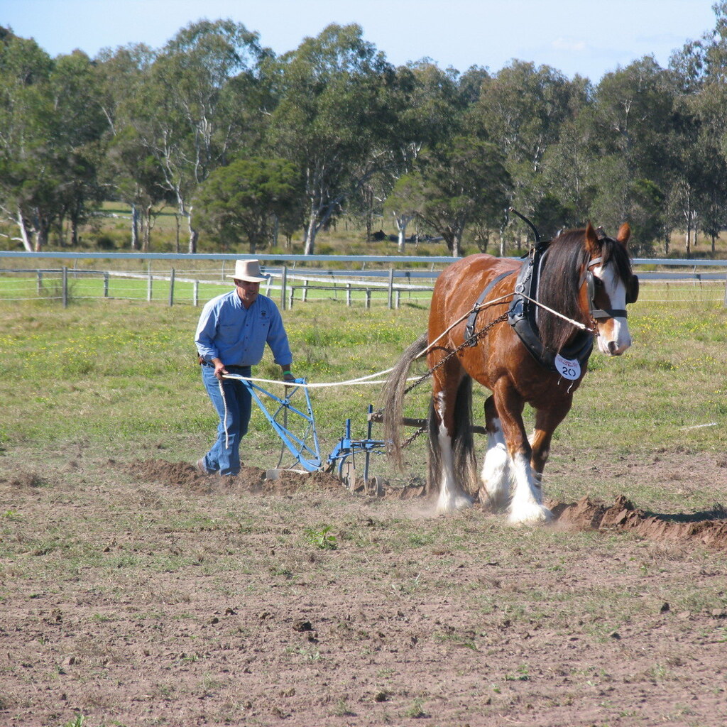 Photo of a field being ploughed