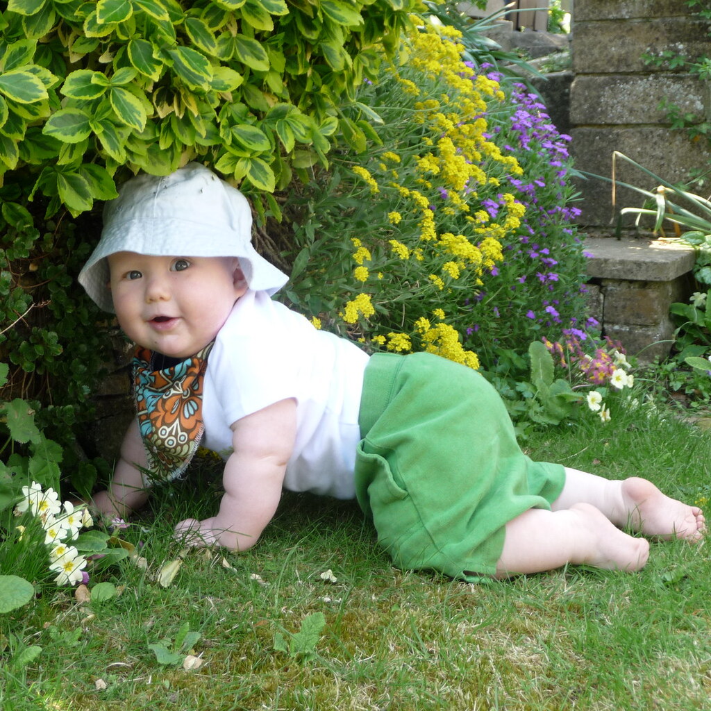 Photo of a plump baby