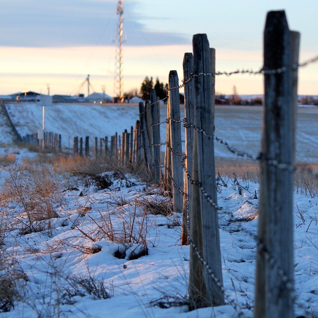 Photo of fence posts