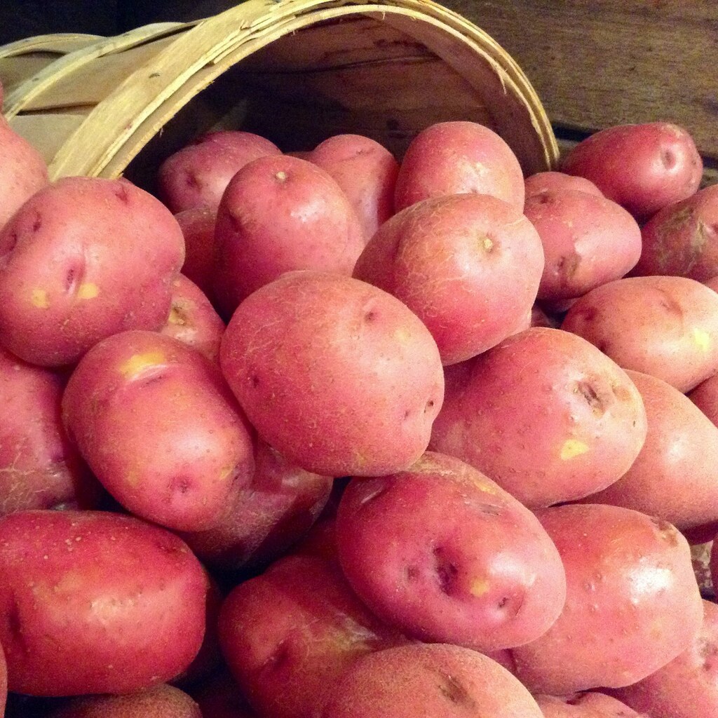 Photo of potatoes