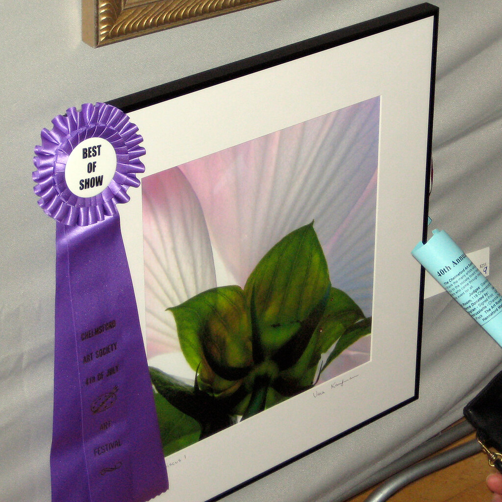 Photo of a prize winning painting
