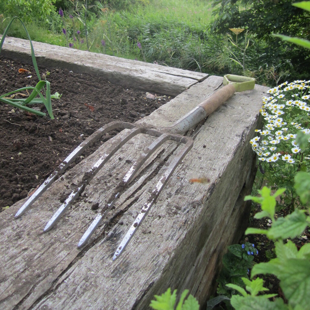 Photo of a garden fork