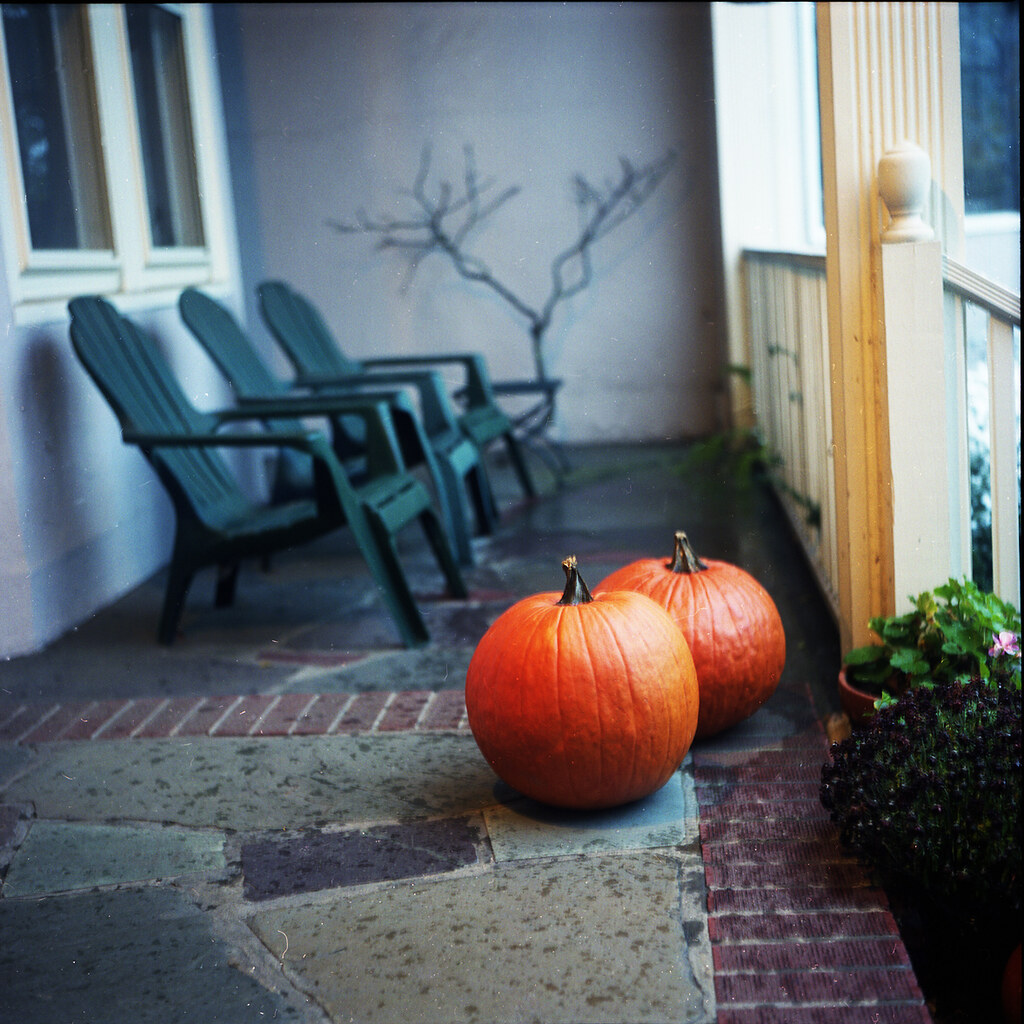 Photo of two pumpkins.