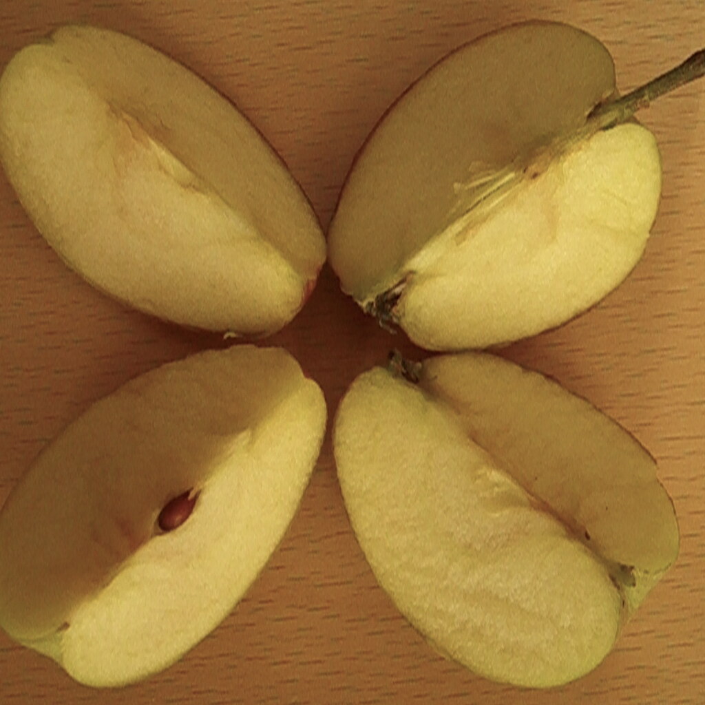 Photo of a quartered apple