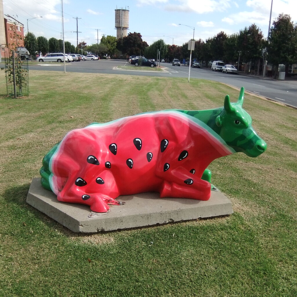 Photo of a quirky cow