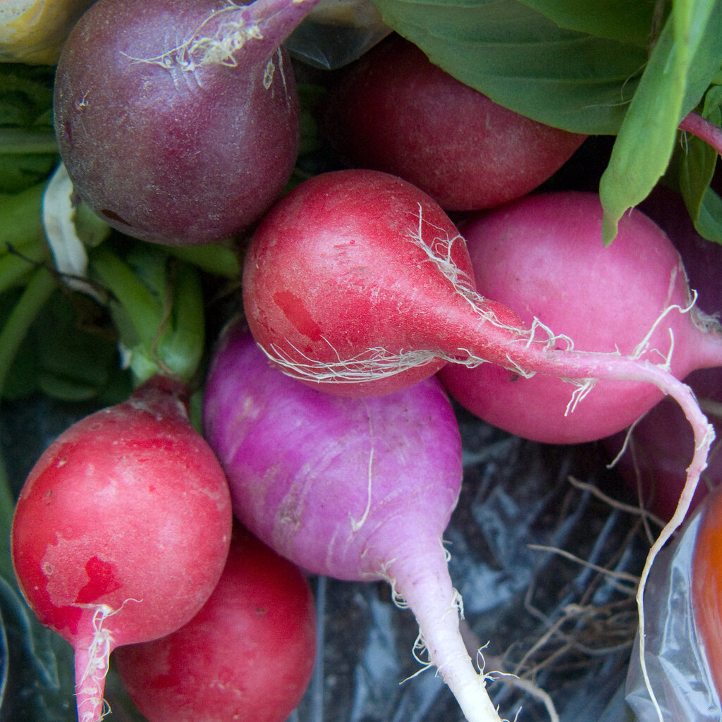 Photo of radishes